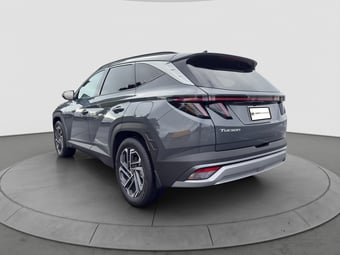 2026 Hyundai Tucson at Ebbett Tauranga