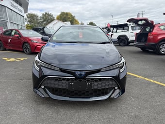 2019 Toyota Corolla at Ebbett Toyota Te Awamutu