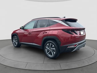 2023 Hyundai Tucson at Ebbett Tauranga